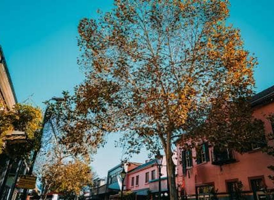 Plumbing Services in Windsor