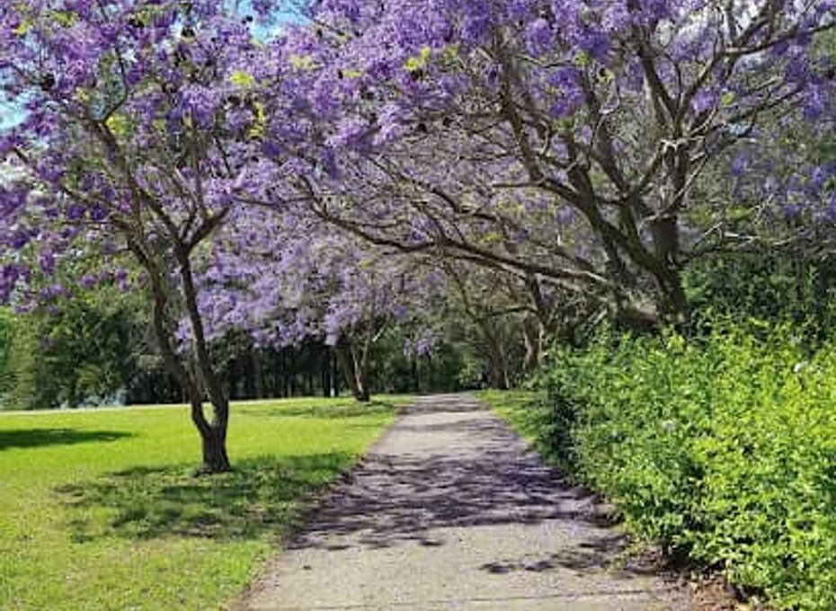 Plumbing Services in North Richmond