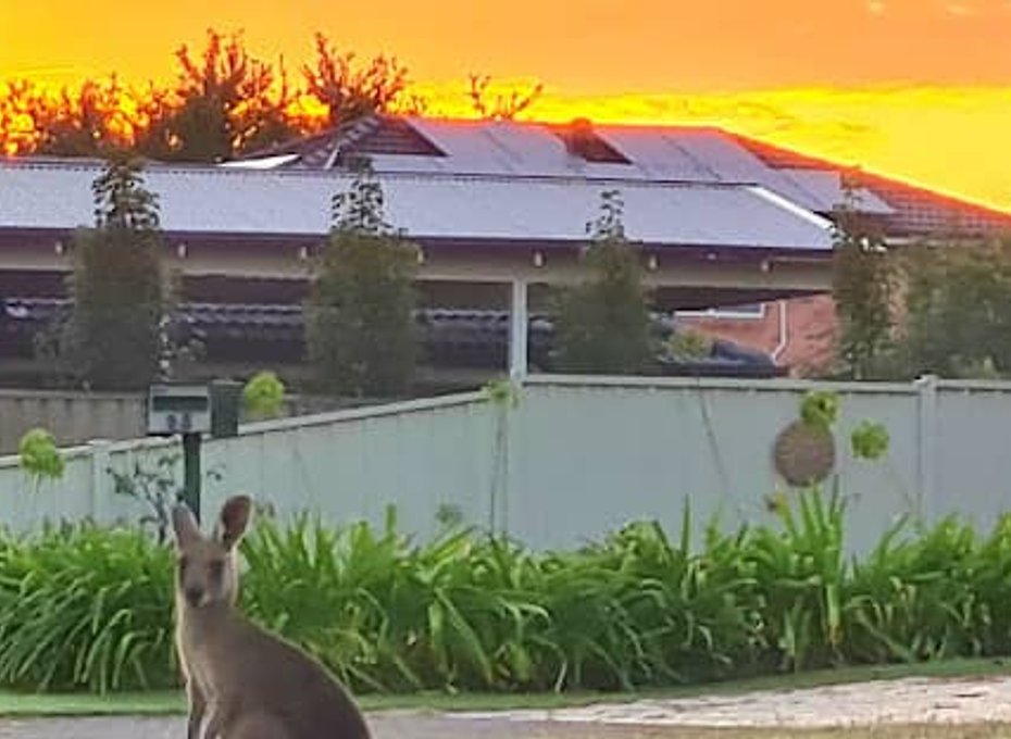 Plumbing Services in Bligh Park